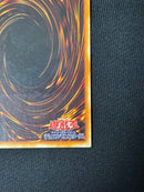 Yu-Gi-Oh! Ocg Duel Monsters (Japanese) 306-057