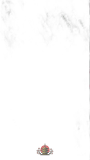 Gauze Fabric