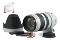 Canon Lens (Zoom) Ef 35-350Mm F/3.5-5.6 L Usm