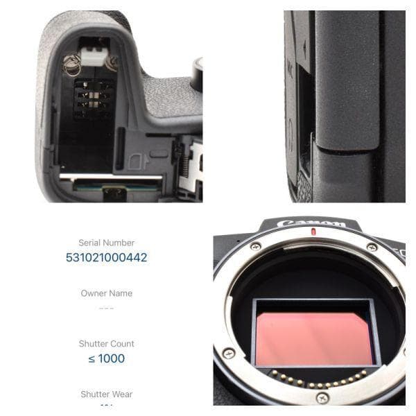 Canon Mirrorless Interchangeable Lips Eos Rp 1000