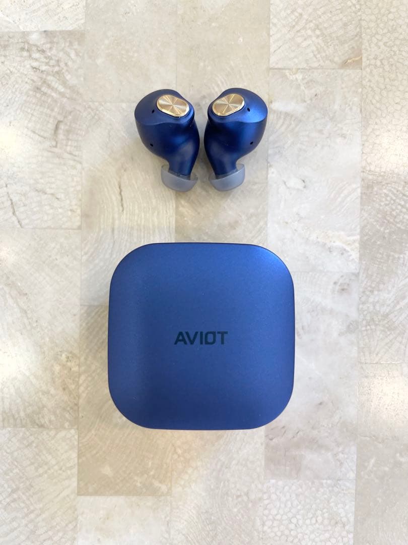 Aviot Wireless Earphones 3000 Te-Q3R