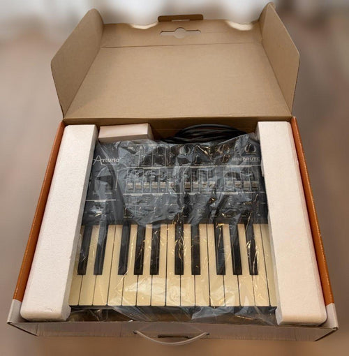 Analog Synthesizer Arturia Minibrute