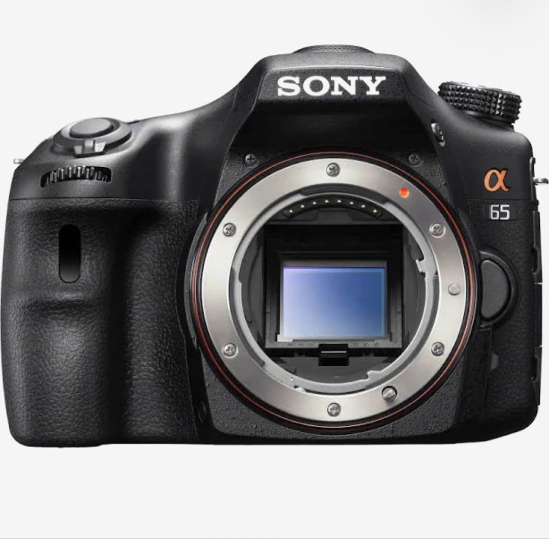 Sony Digital Slrs 65