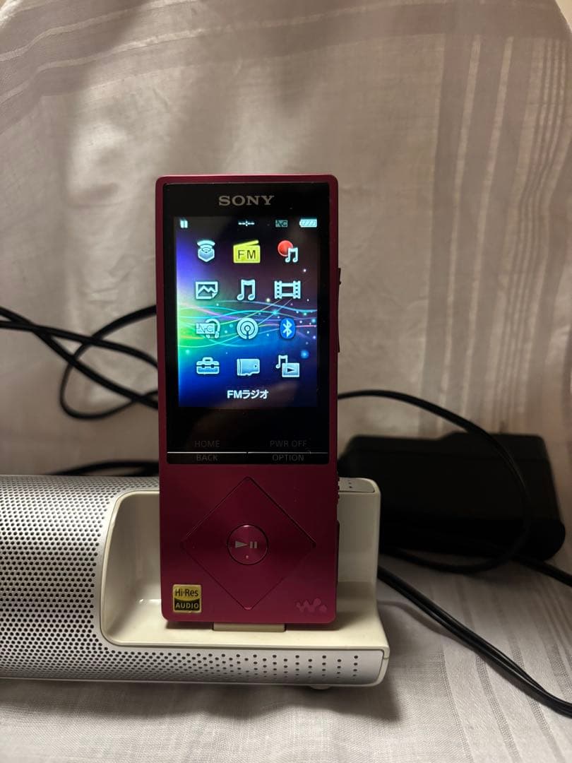 Sony Digital Audio Players Nw-A16 Rdp-Nwt19