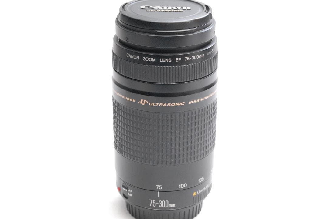 Canon Zoom Lenses Lens Ef 75-300Mm 1:4-5.6 Usm