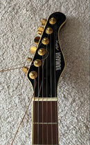 Yamaha Acoustic Guitar Apx-8S