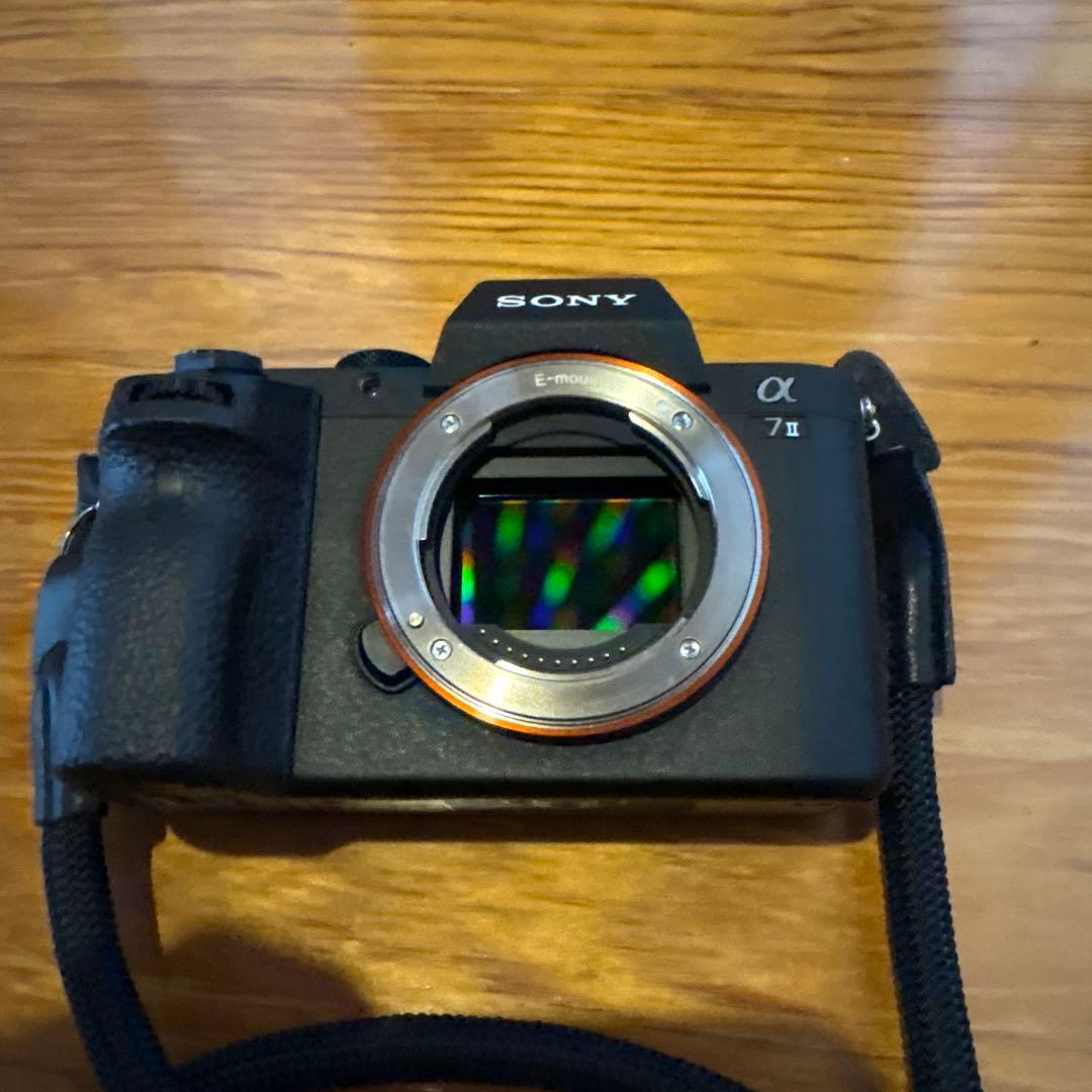 Sony Mirrorless Interchangeable Lens Cameras 7 Ii Ynless Yn35Mm F25 Df Dsm