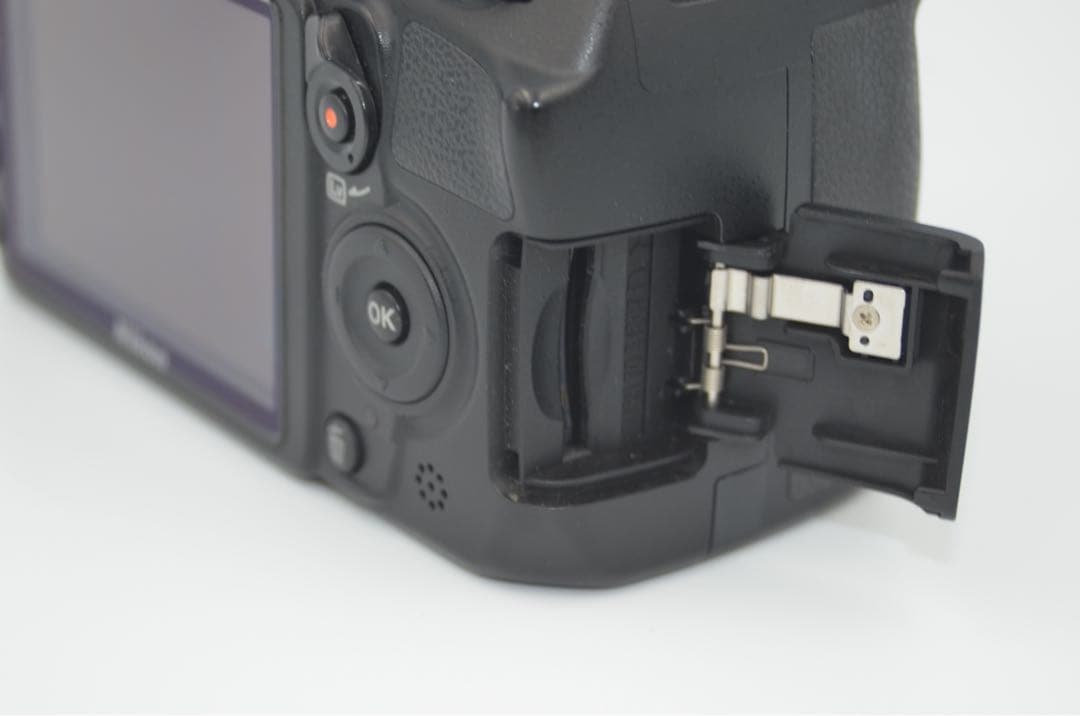 Nikon Digital Slrs D3100