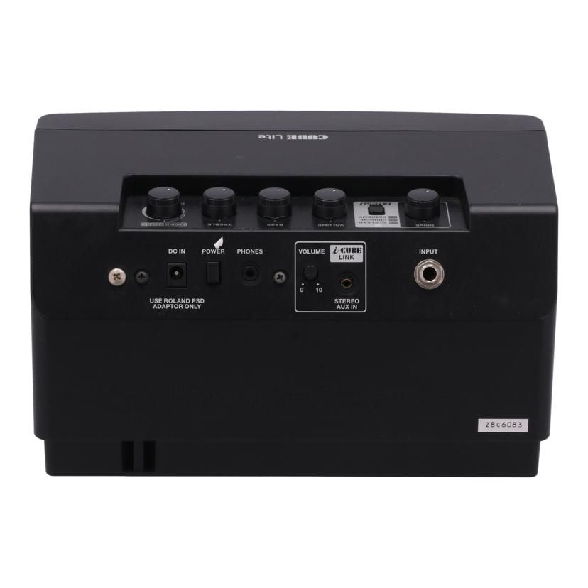 Roland Amplifier Case Cube Lite B 62