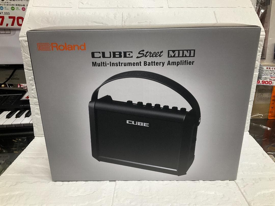Roland Portable Pa Systems Cube Street Mini