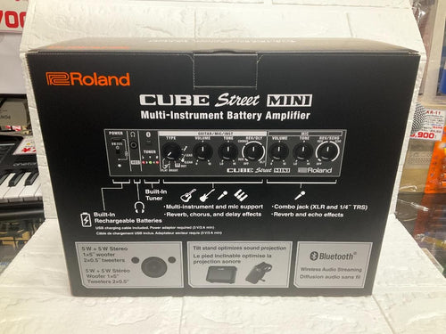 Roland Portable Pa Systems Cube Street Mini