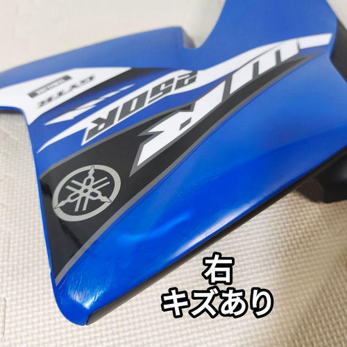 Yamaha Motor Cowls Fenders Wr250R/X Dg15J