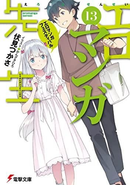 Literature Novel 13