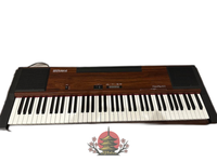 Roland Keyboard Electronic Piano Hp-100