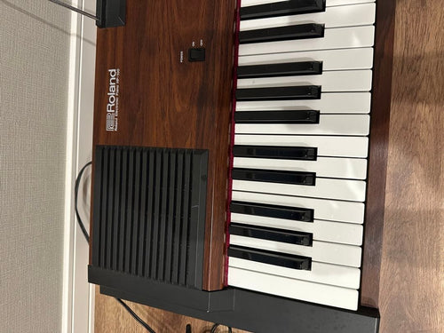Roland Keyboard Electronic Piano Hp-100