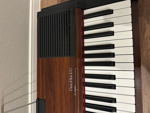 Roland Keyboard Electronic Piano Hp-100