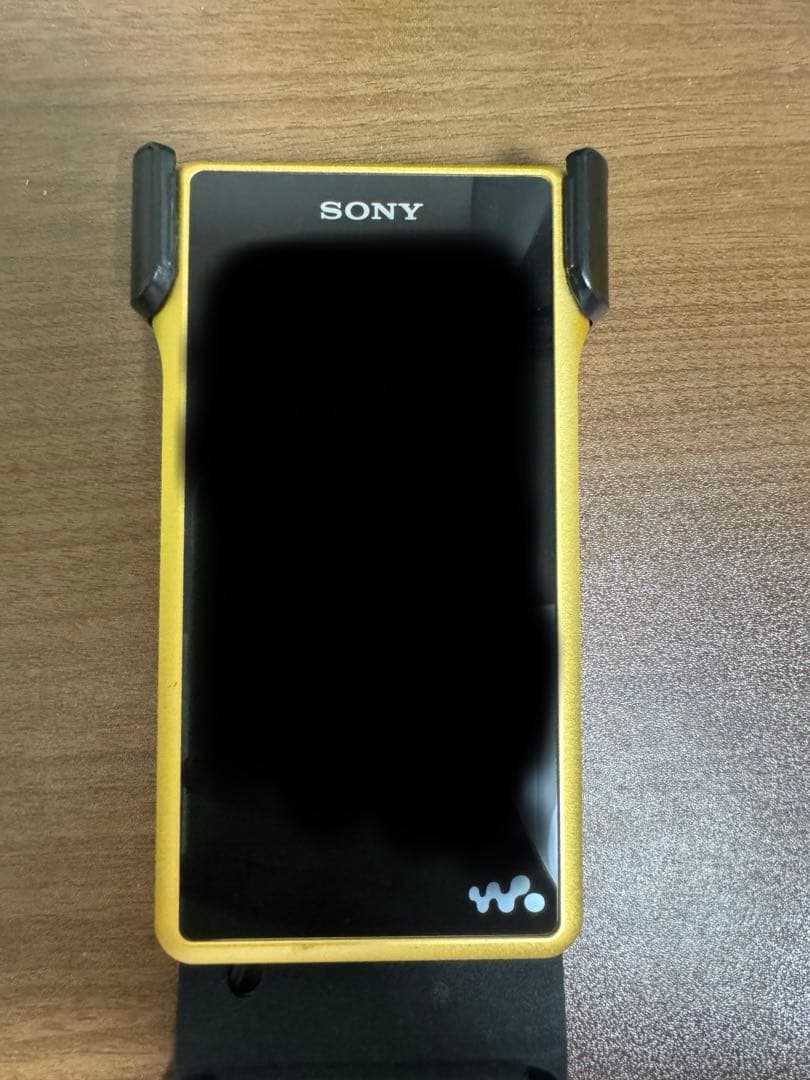 Digital Audio Player Sony Nw-Wm1Z
