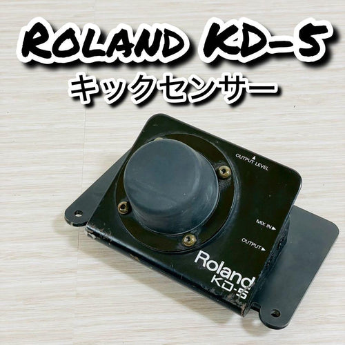 Roland Drum Pads Practice (Mute) Kd-5