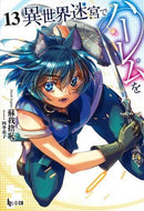 Literature Novel 13