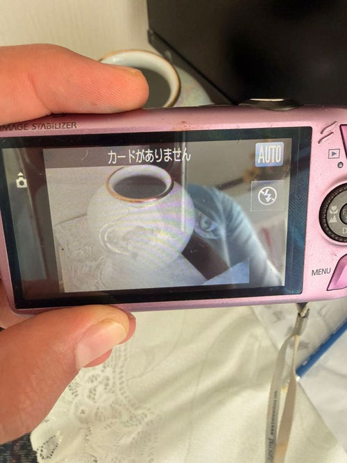 Canon Compact Digital Cameras Ixy 930 Is