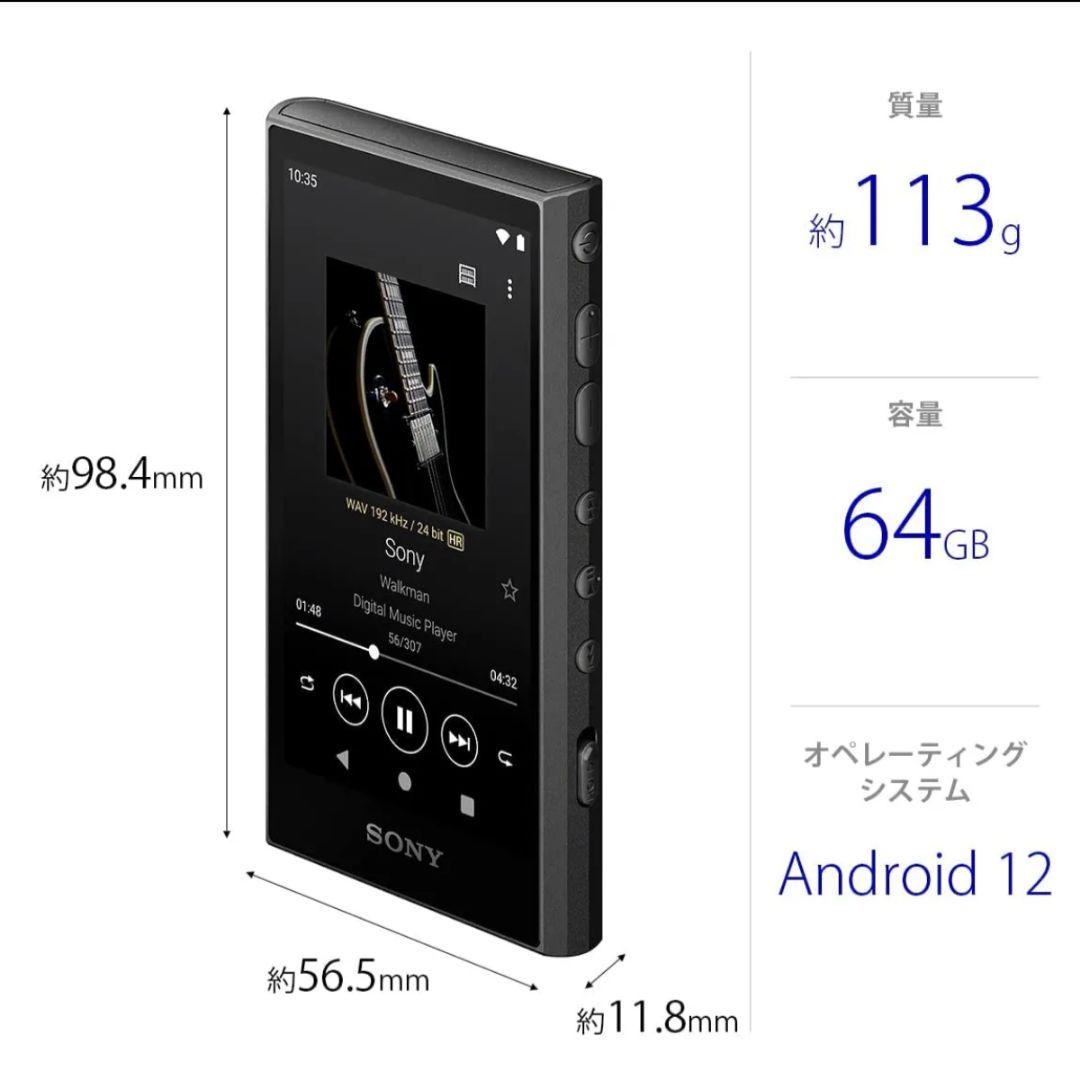 Sony Digital Audio Players Walkman Nw-A307 Black