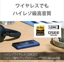 Sony Digital Audio Players Walkman Nw-A307 Black
