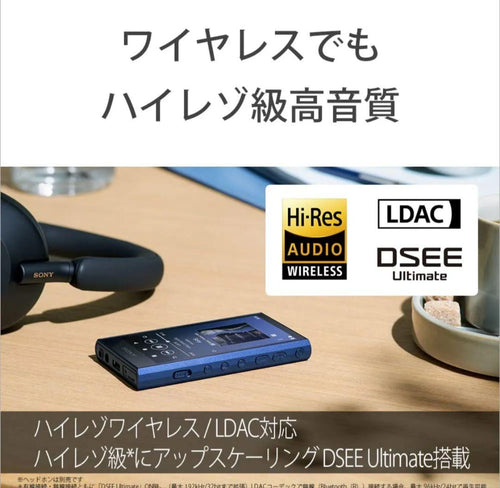 Sony Digital Audio Players Walkman Nw-A307 Black