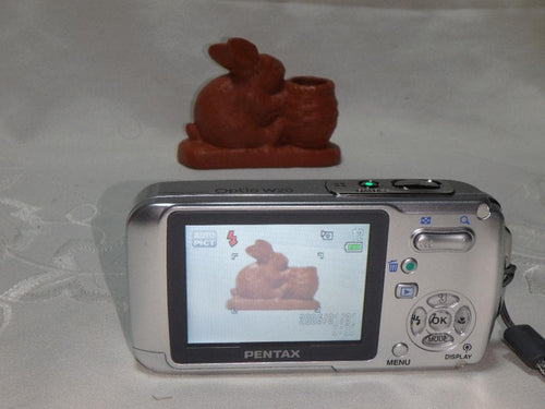 Pentax Compact Digital Camera Optio W20