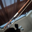 Yamaha Violins 3/4 V5Scc