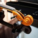 Yamaha Violins 3/4 V5Scc