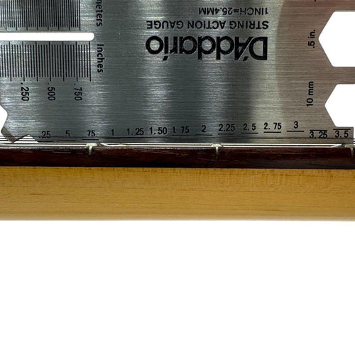 Roland Electric Guitars Gtm Gc-10