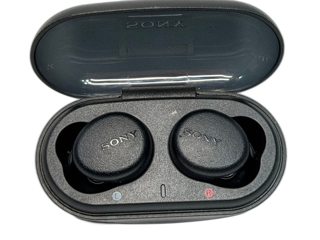 Sony Wireless Earphone