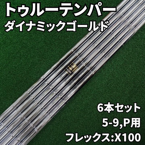 True Temper Shaft Dg X100 6 5-9,P