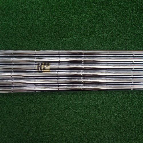 True Temper Shaft Dg X100 6 5-9,P