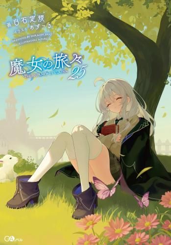 Literature Novel 25