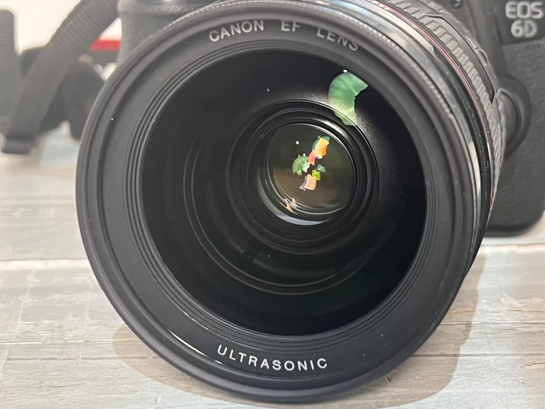 Canon Digital Slr Eos6D Ef28-70+Ef50+Grip