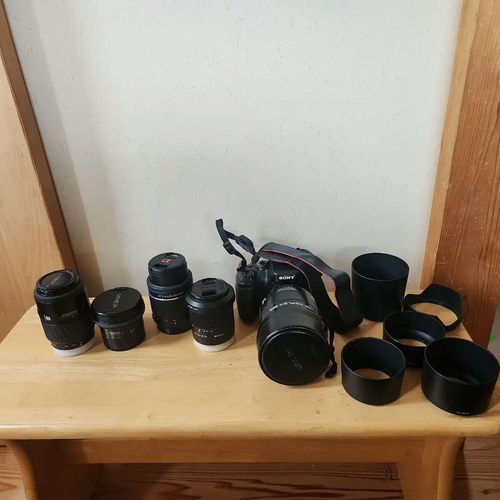 Sony Digital Slr 100