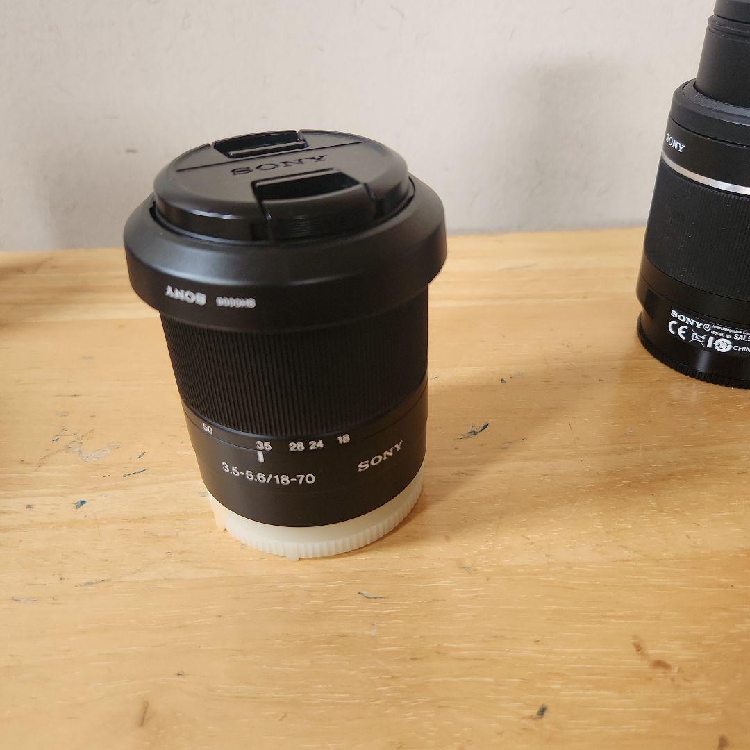Sony Digital Slr 100