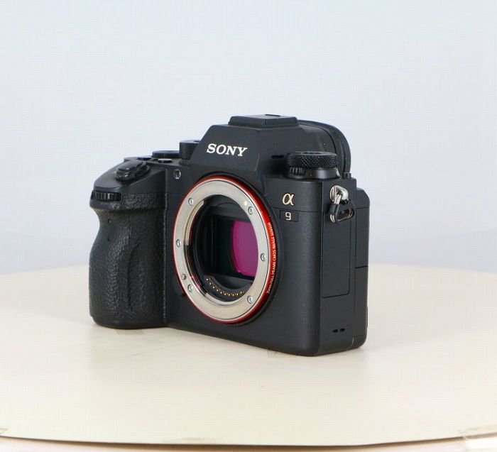 Sony Others 9(Ilce-9)
