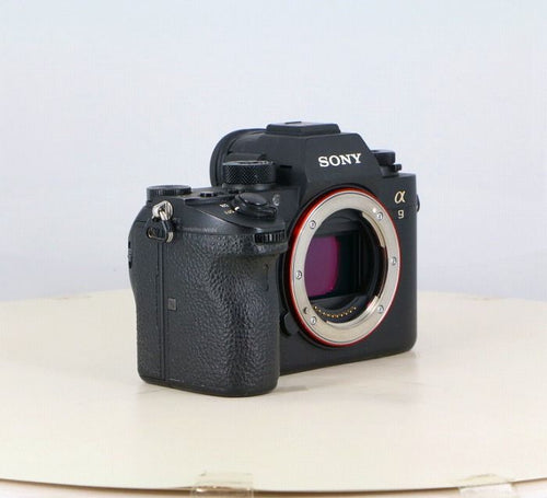 Sony Others 9(Ilce-9)