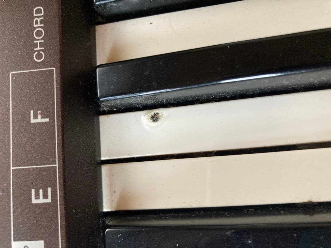 Casio Analog Synthesizers Casiotone Ct-310