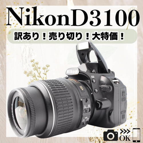 Nikon Digital Slrs D3100