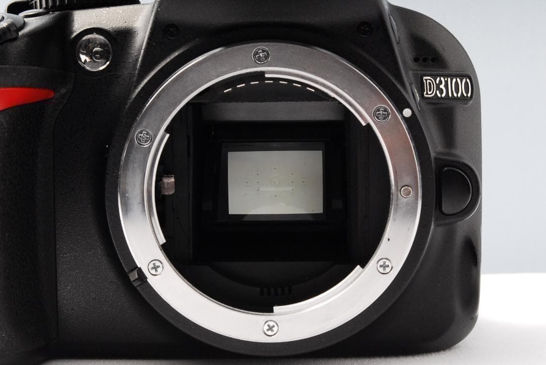 Nikon Digital Slrs D3100