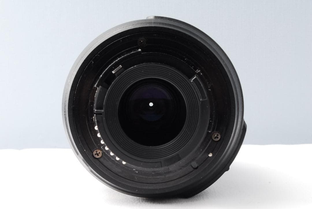 Nikon Digital Slrs D3100