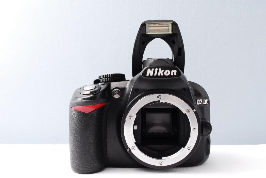Nikon Digital Slrs D3100