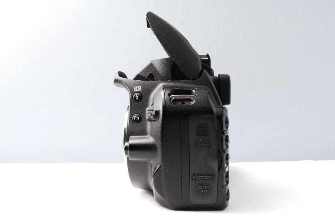 Nikon Digital Slrs D3100
