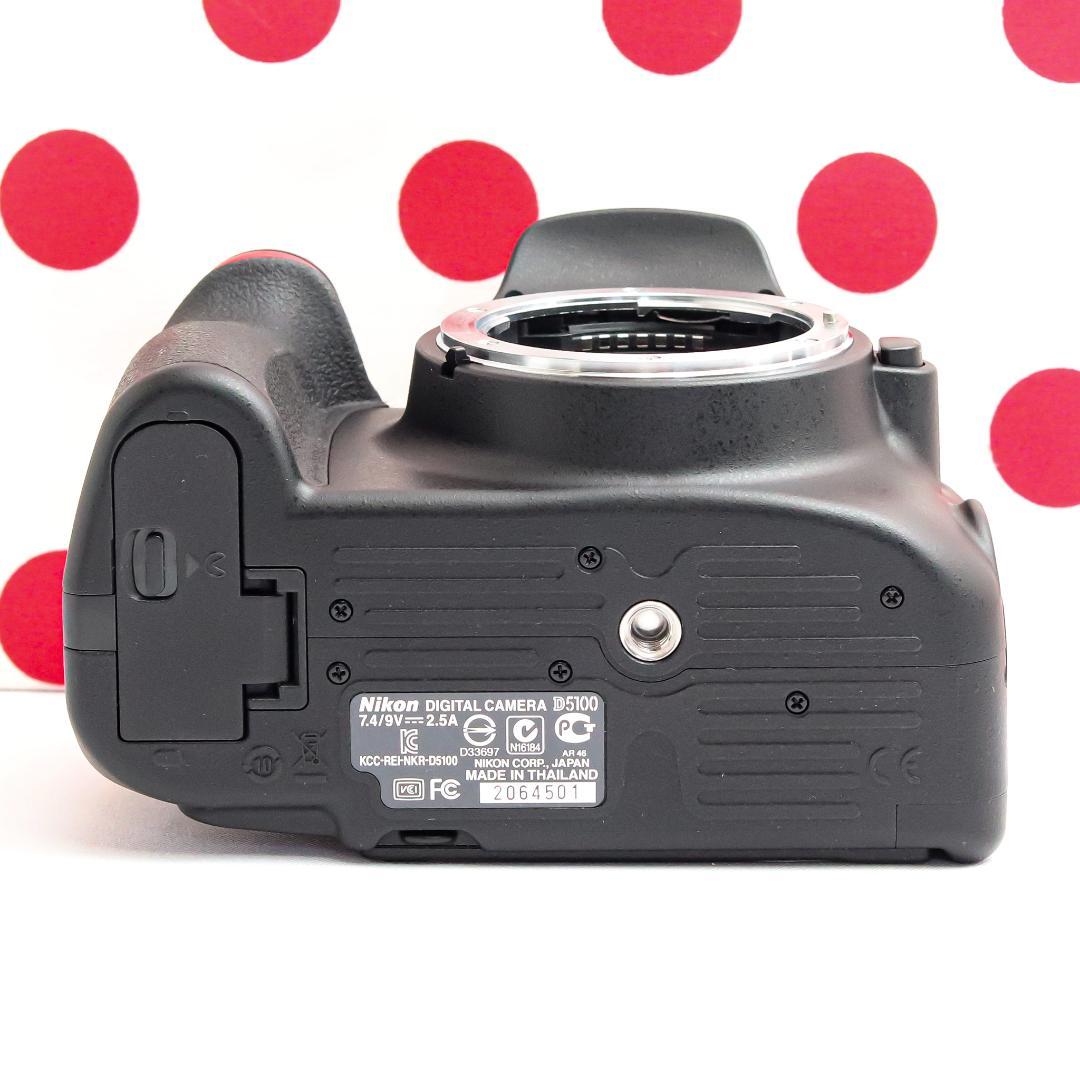 Nikon Digital Slrs D5100 Ok
