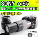 Sony Digital Slrs 65 W