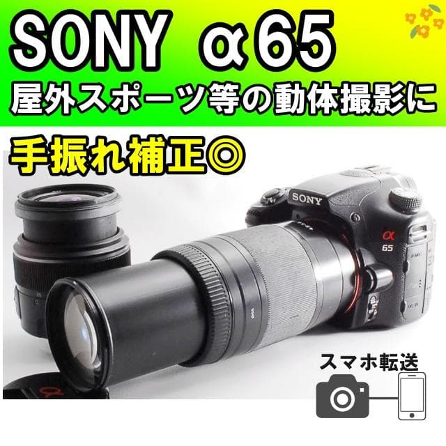 Sony Digital Slrs 65 W