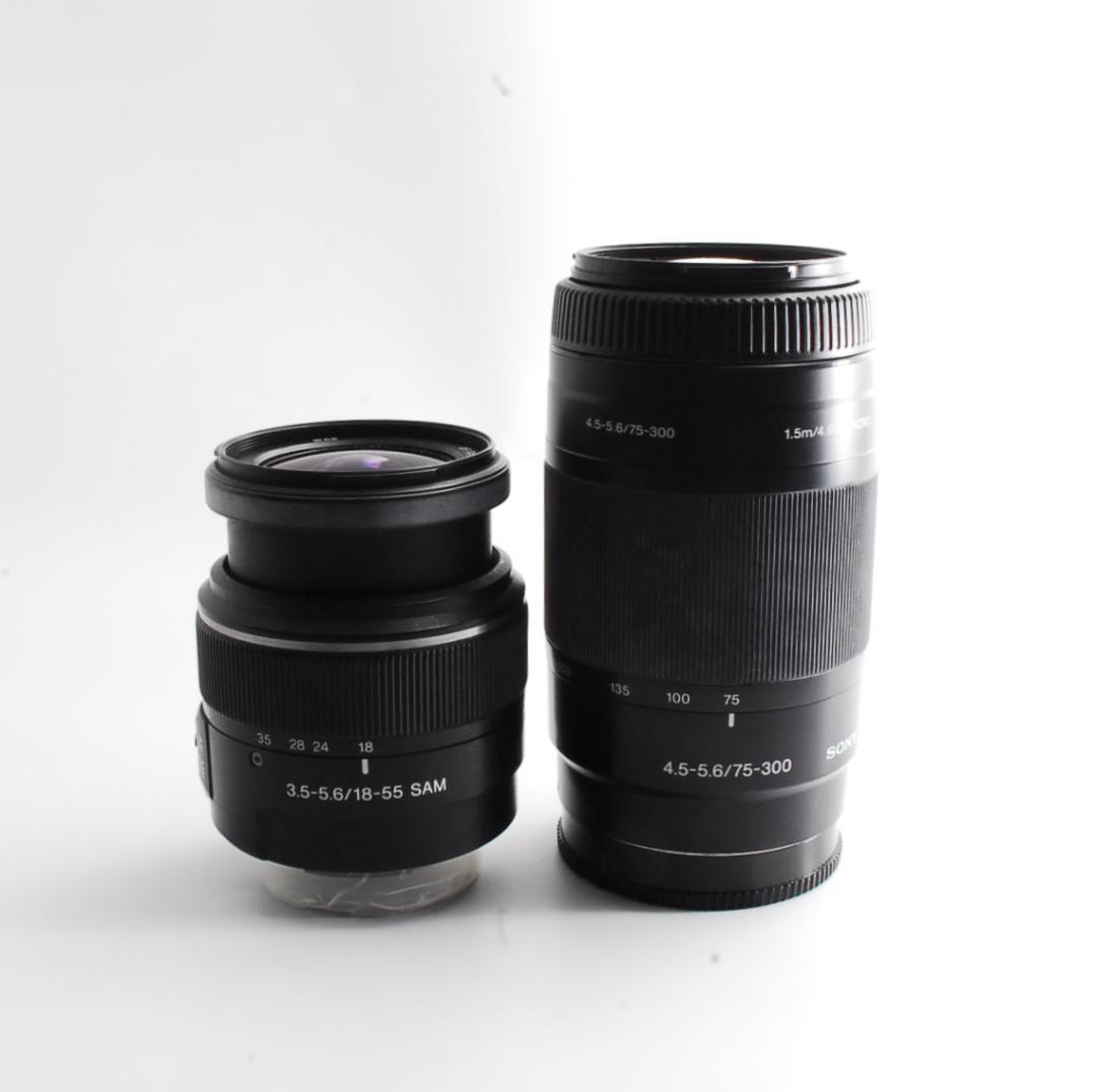 Sony Digital Slrs 65 W